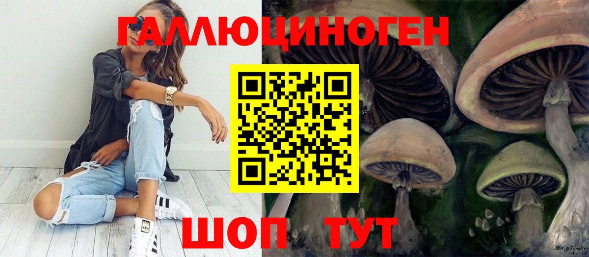 Псилоцибиновые грибы Psilocybe  закладка  Энгельс  Вход с VPN 